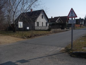 DSCF2151